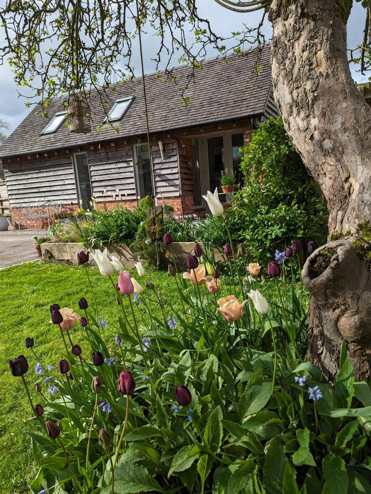 The Dorm Bed And Breakfast Eccleshall Eksteriør bilde