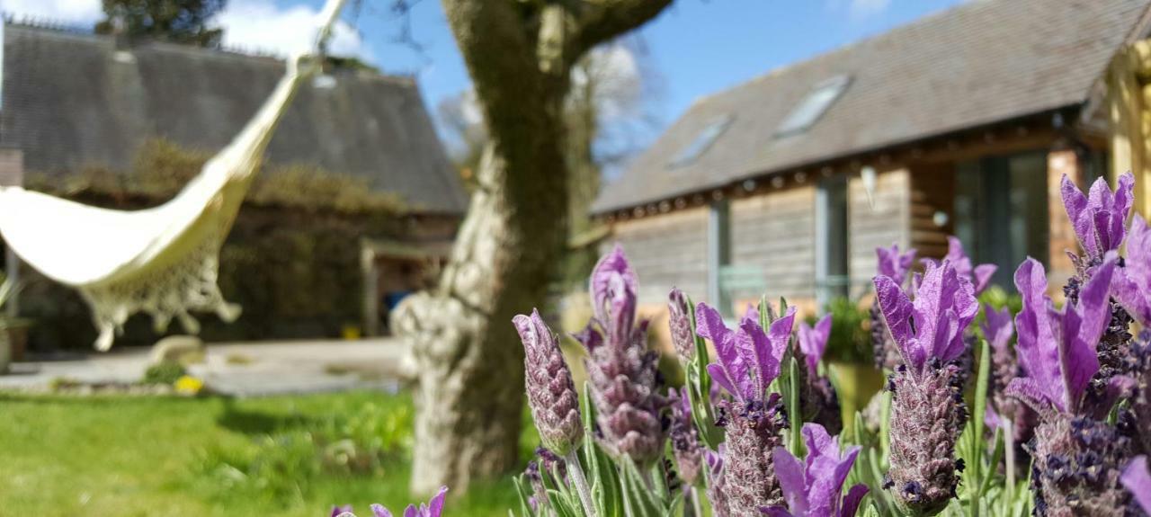 The Dorm Bed And Breakfast Eccleshall Eksteriør bilde